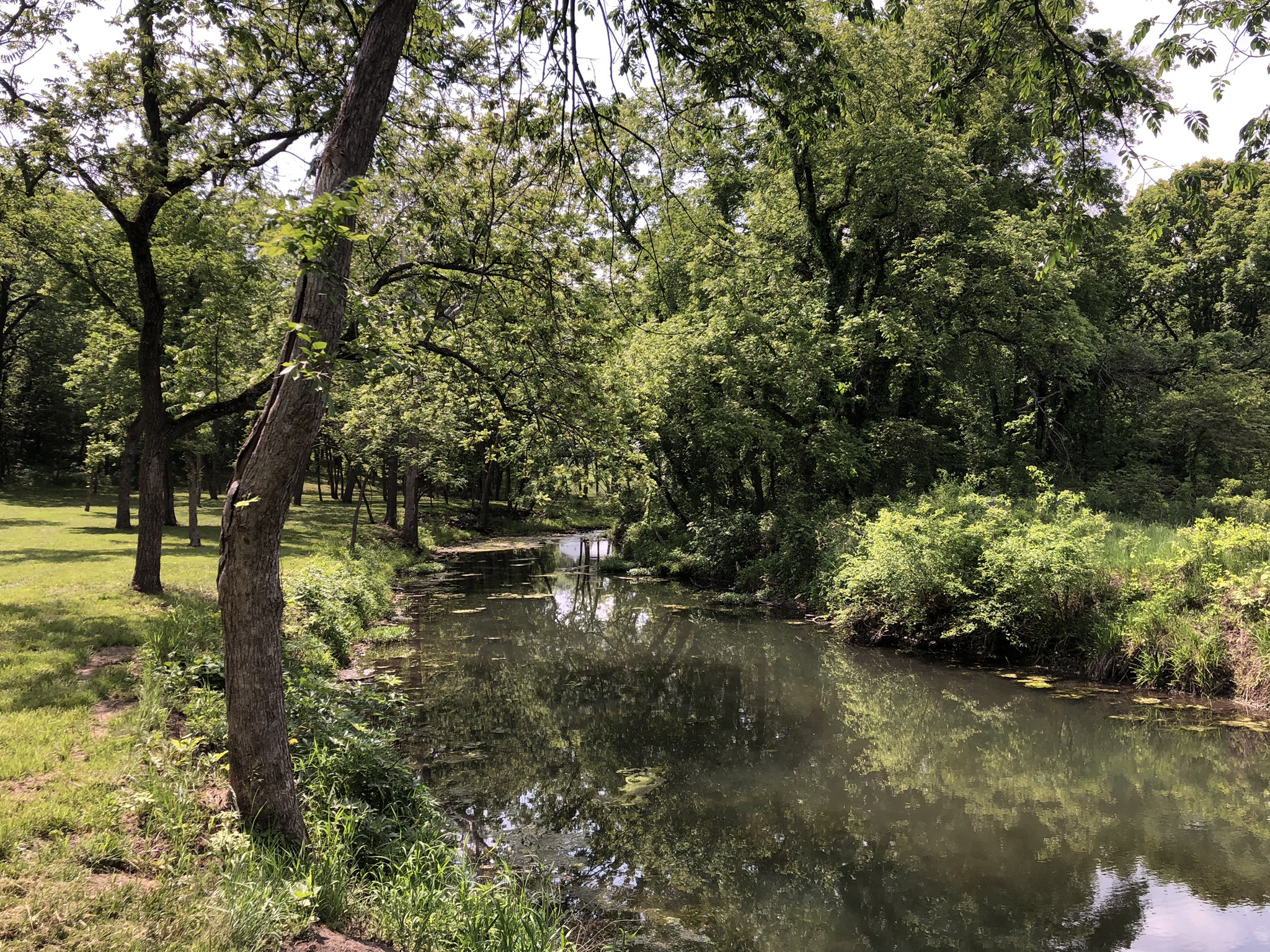 Kill Creek at Hidden Timber Farm horse pasture boarding